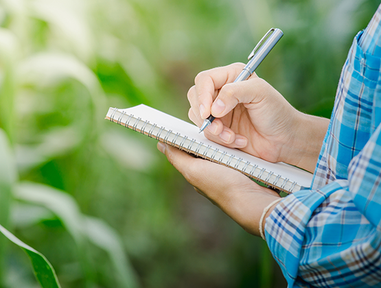 Person holding notebook with pen in hand and blurred bushed behind