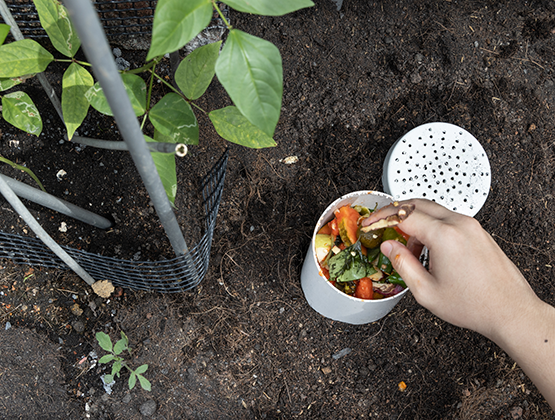 A worm tower with food scraps in the garden bed