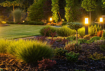 A well lit, manicured garden